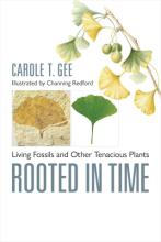 Gee: Rooted in Time Gee: Rooted in Time
